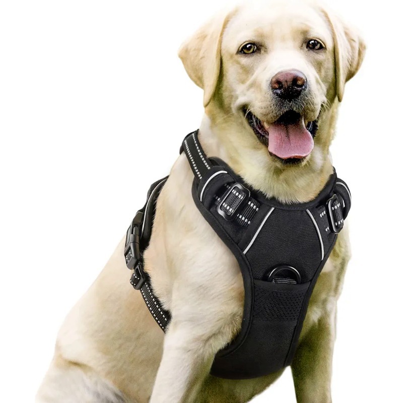 Pet Harness Set