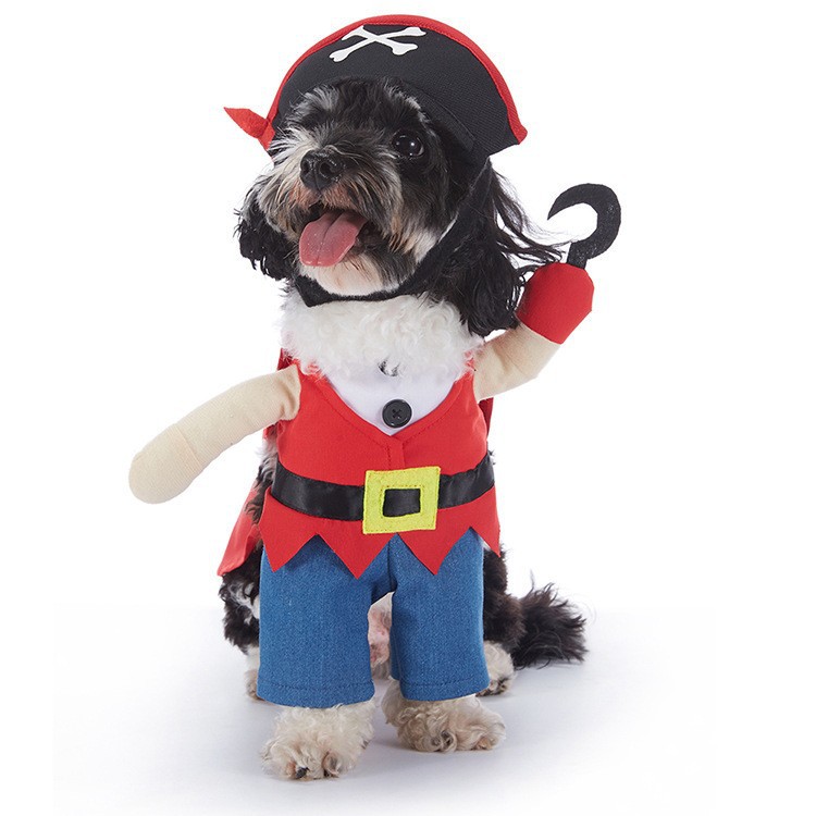 Pet Halloween Costume