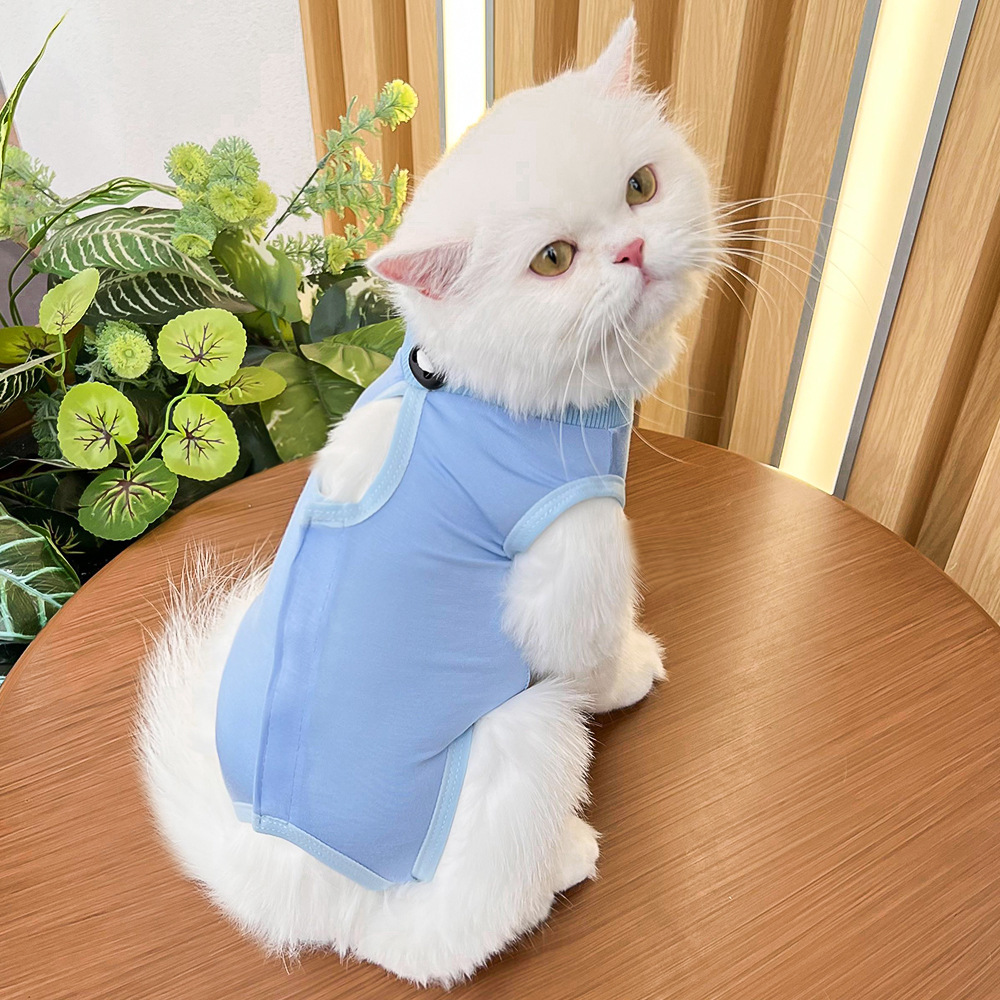 Cat Surgery Recovery Suit