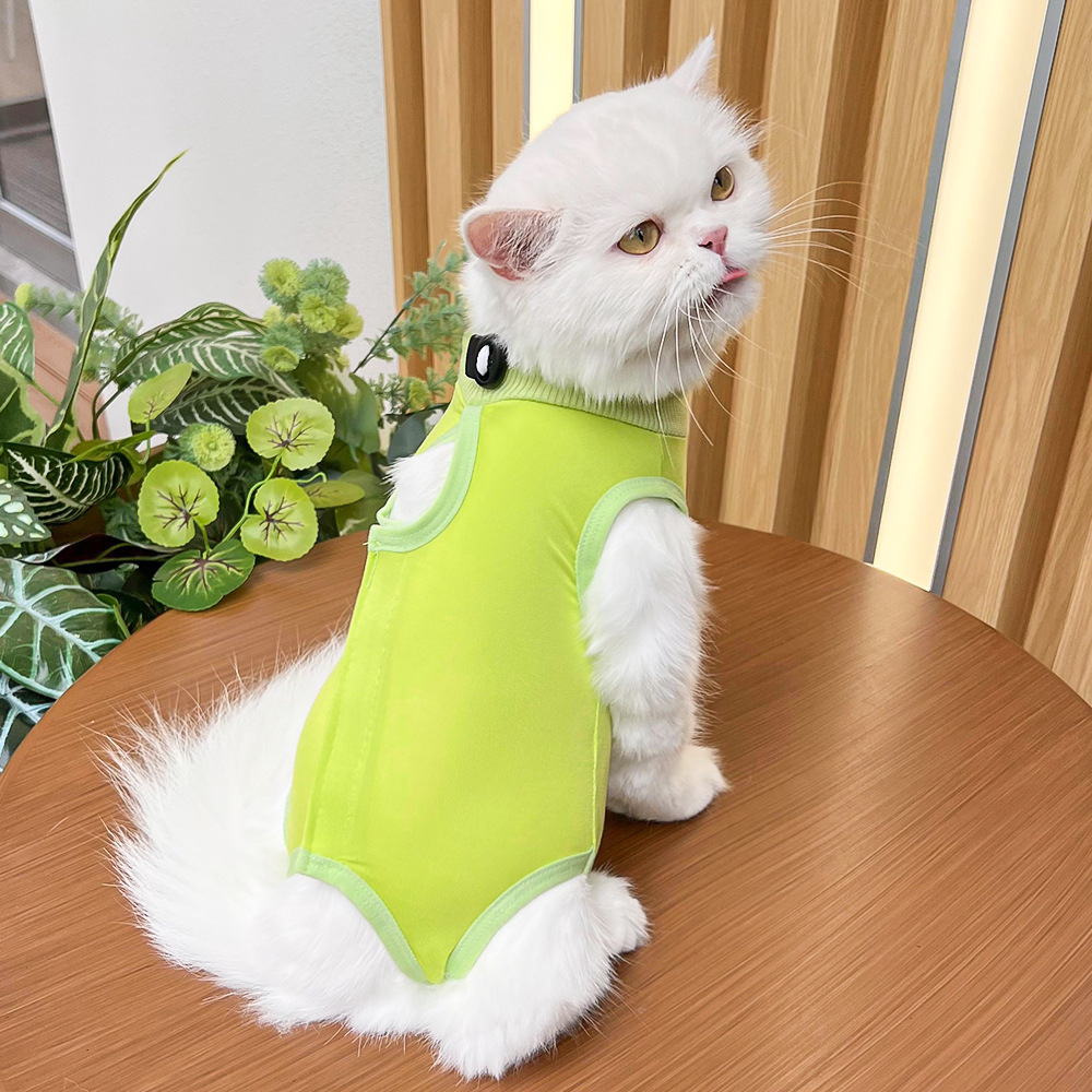 Cat Surgery Recovery Suit