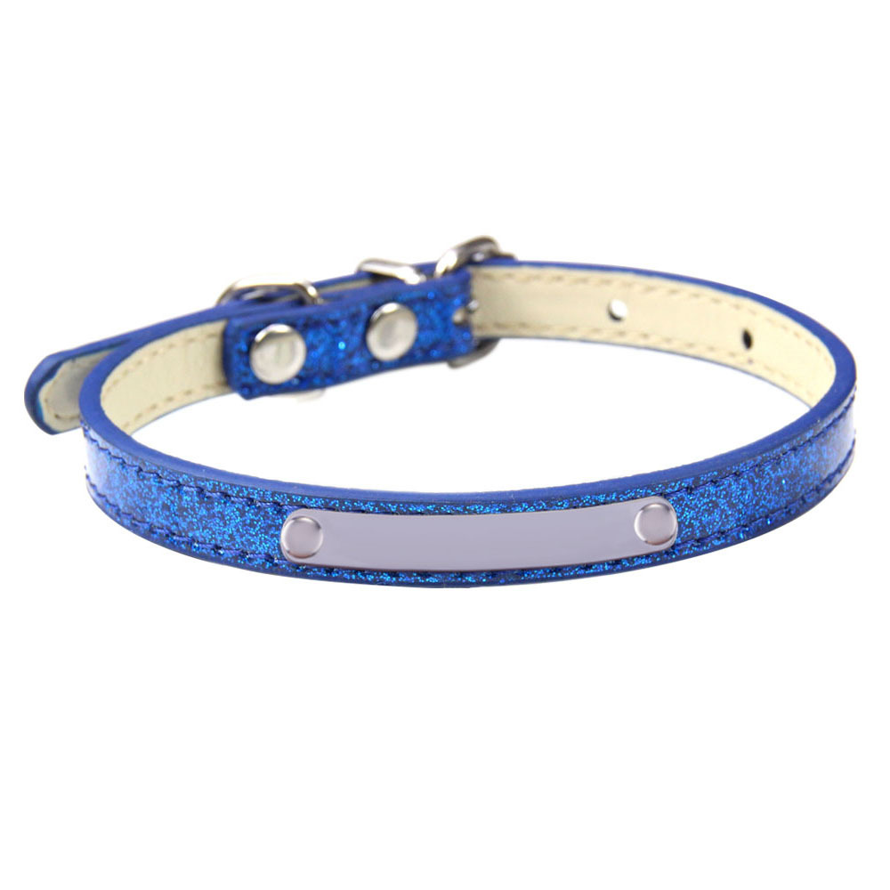 Shiny Engraved Cat Collar