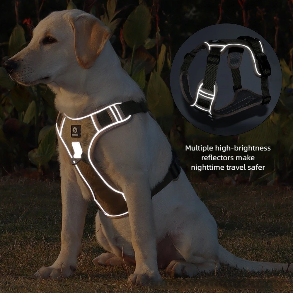 Outdoor Dog Vest