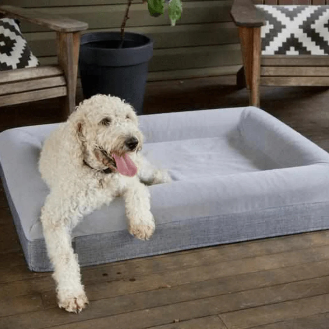 Orthopedic Foam Dog Beds