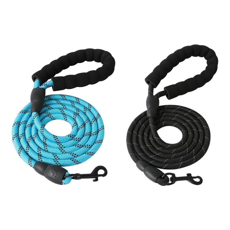 Nylon Dog Leash