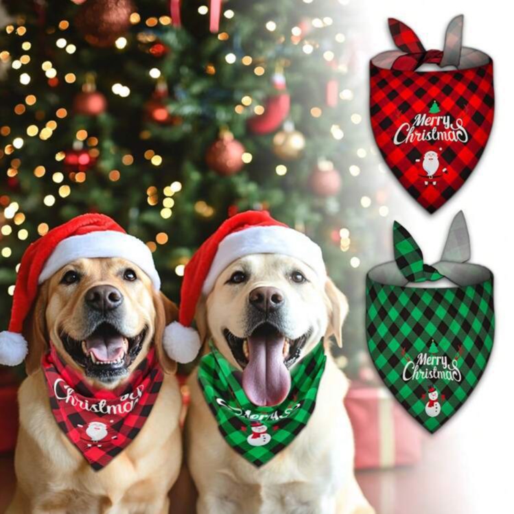 Dog Bandana Custom