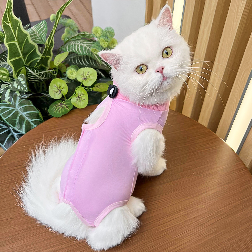 Cat Surgery Recovery Suit