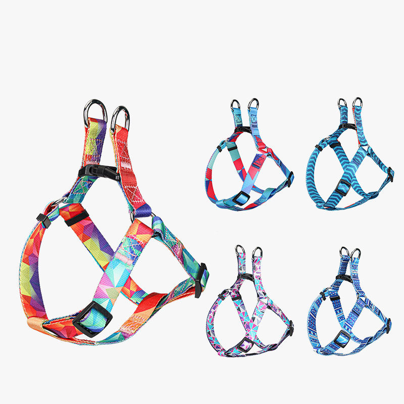 Pet harness