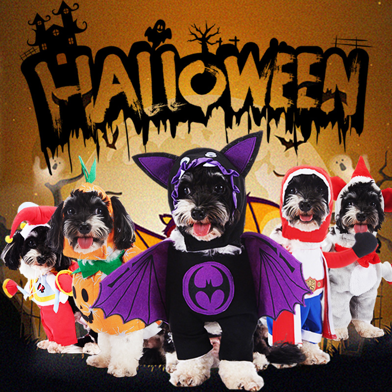 Pet Halloween Costume