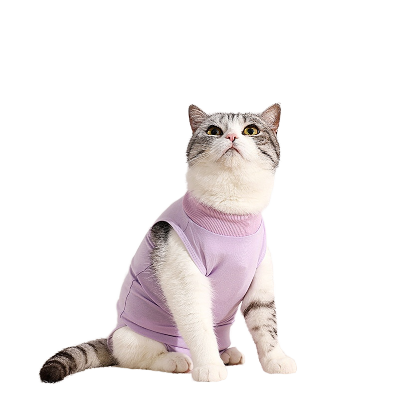 Cat Surgery Recovery Suit