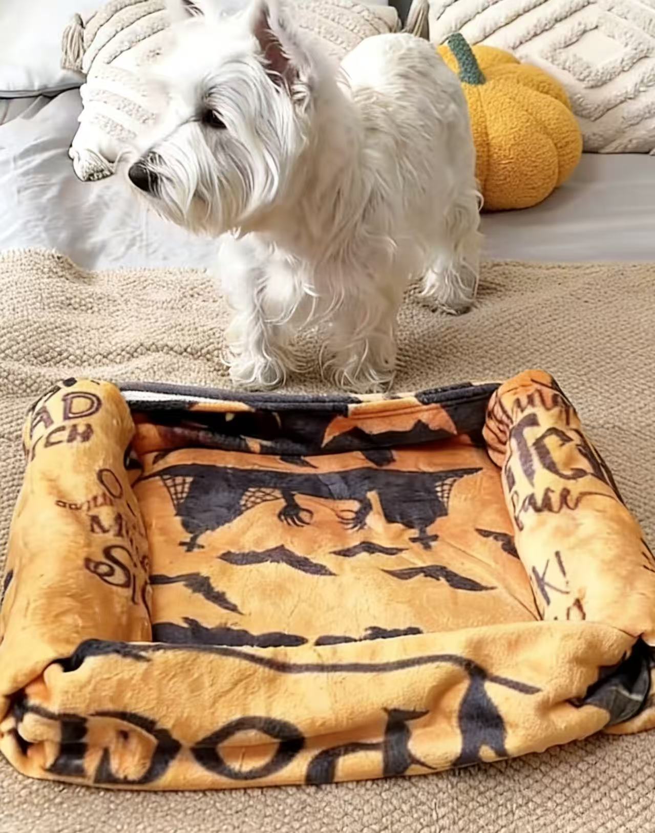 Dog Blanket