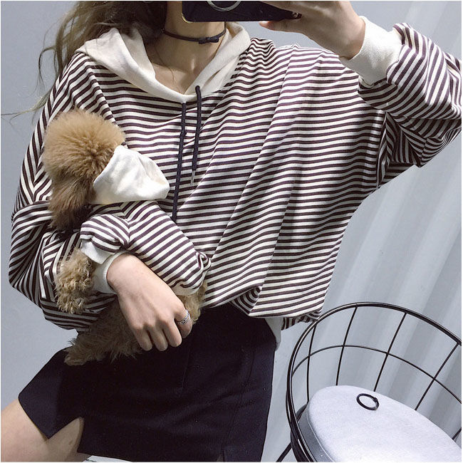 Dog and Owner Matching Hoodies