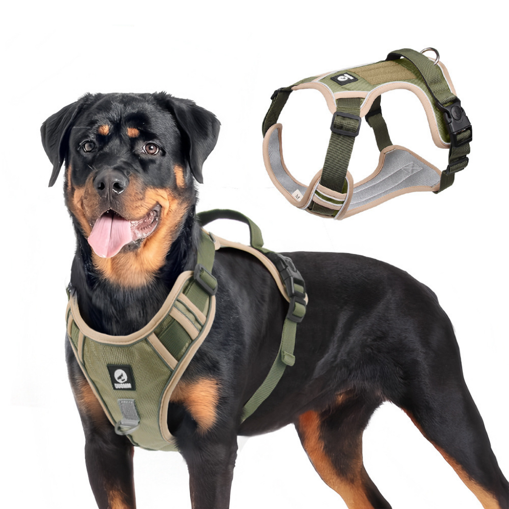 Outdoor Dog Vest