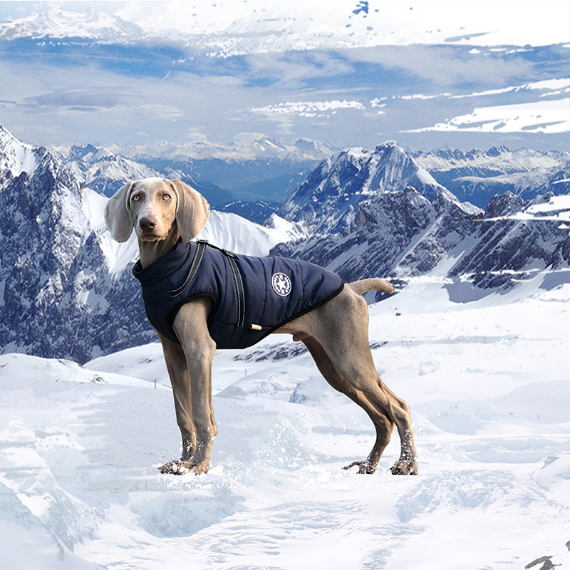Pet Cotton Coat
