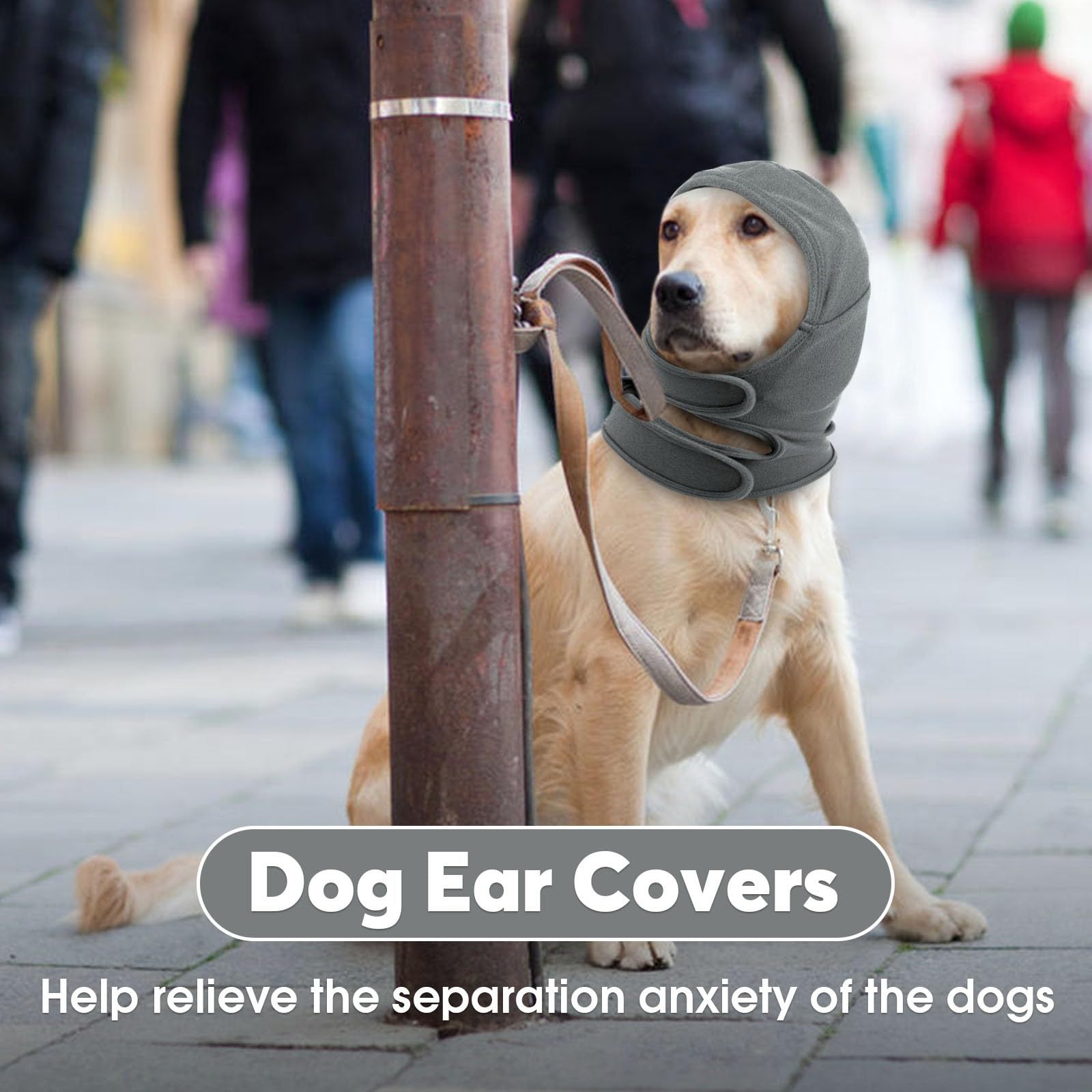 Dog Calming Hoodie