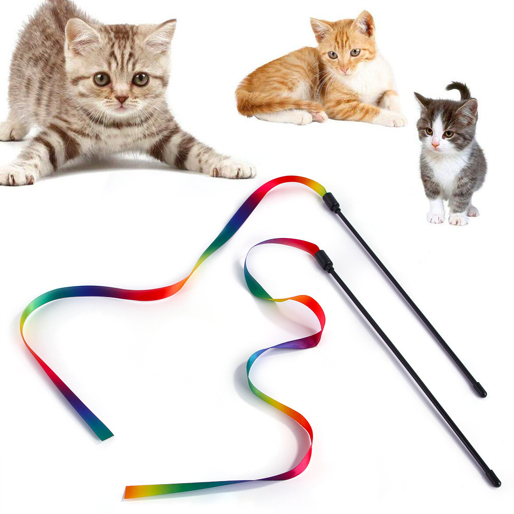 Cat Teasing Toys