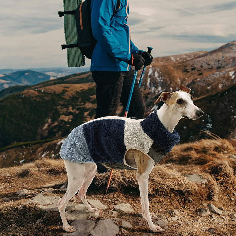 wholesale  dog winter coat