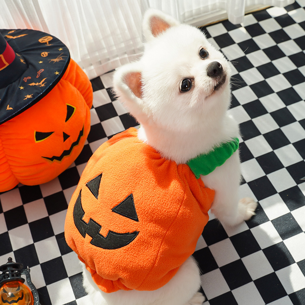 Pet Clothing Supplier