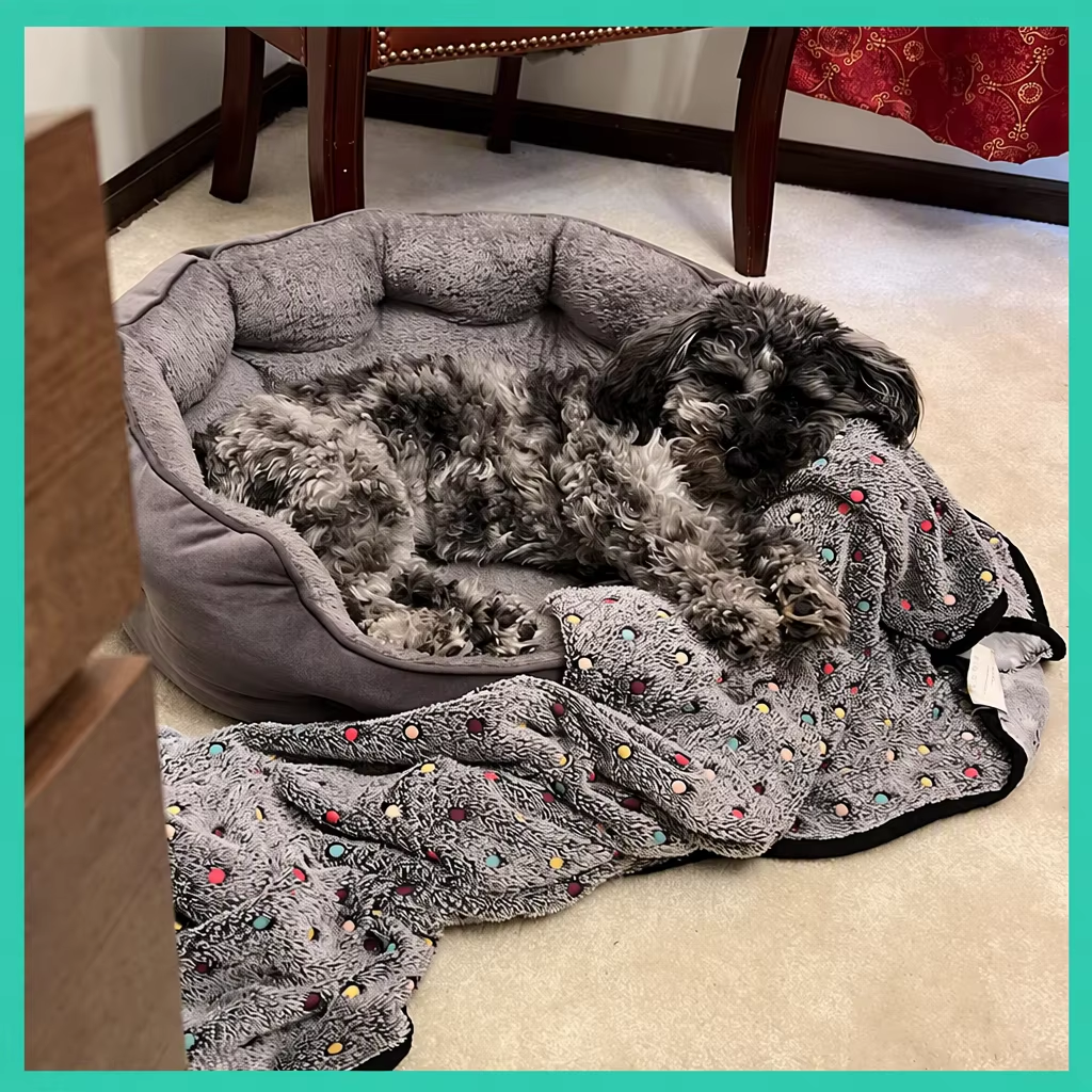Wholesale Round Donut Calming Pet Bed