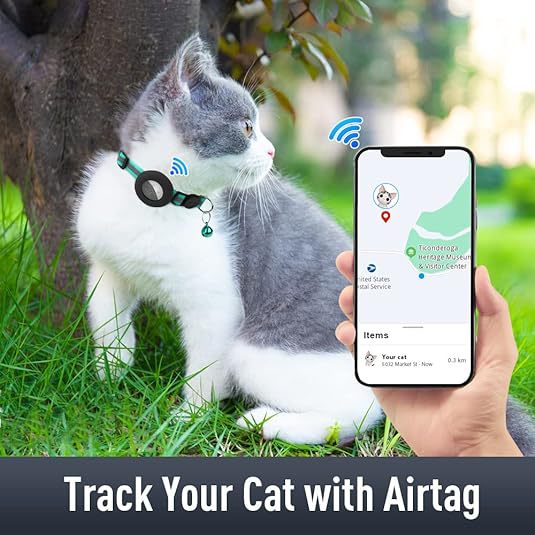 Cat Collars With Bell 