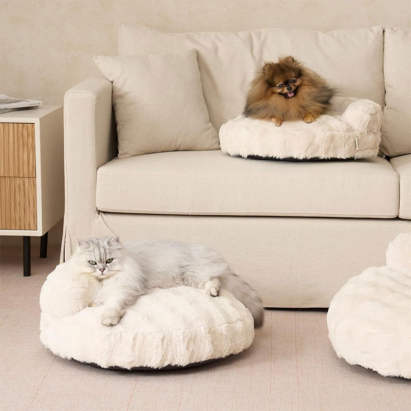 Bubble Fluffy Pet Sofa Bed