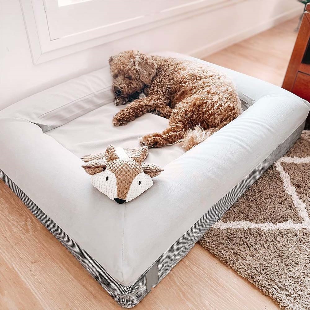 Orthopedic Foam Dog Beds