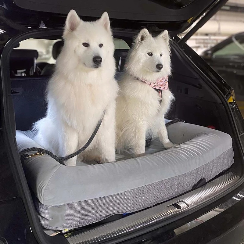 Orthopedic Foam Dog Beds