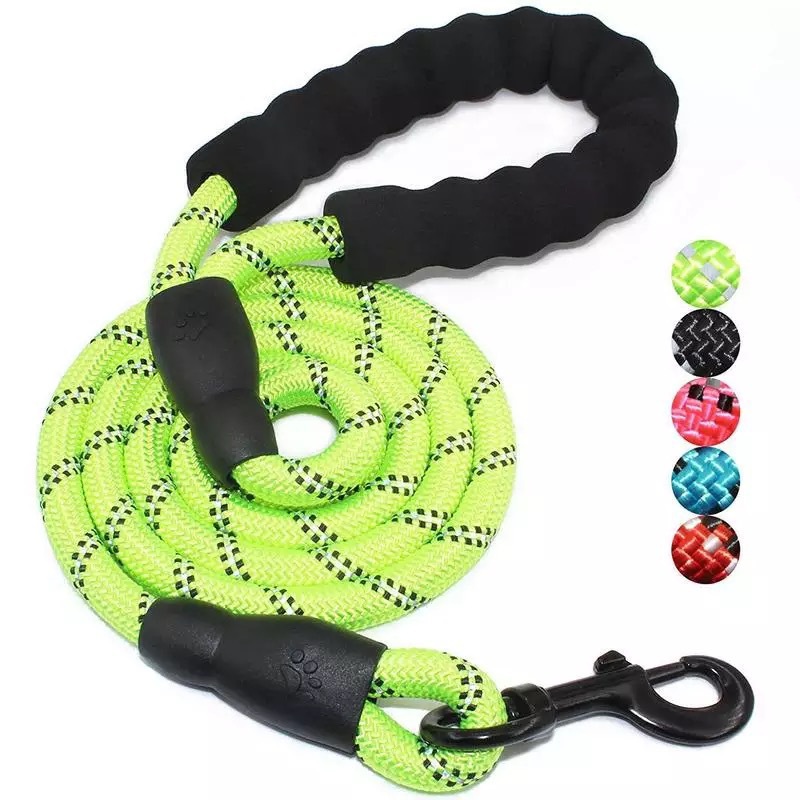 Nylon Dog Leash