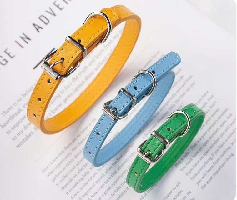 Colored Leather Collar