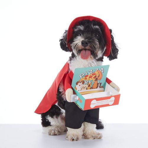 Pet Halloween Costume