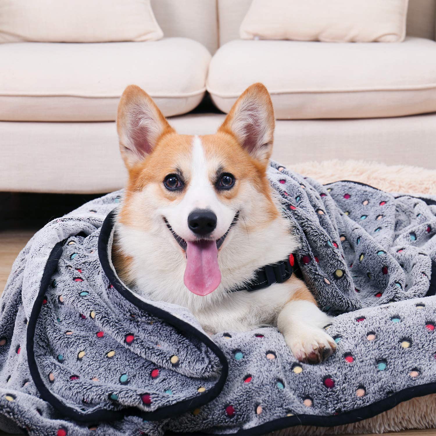 Throw Dog Blanket