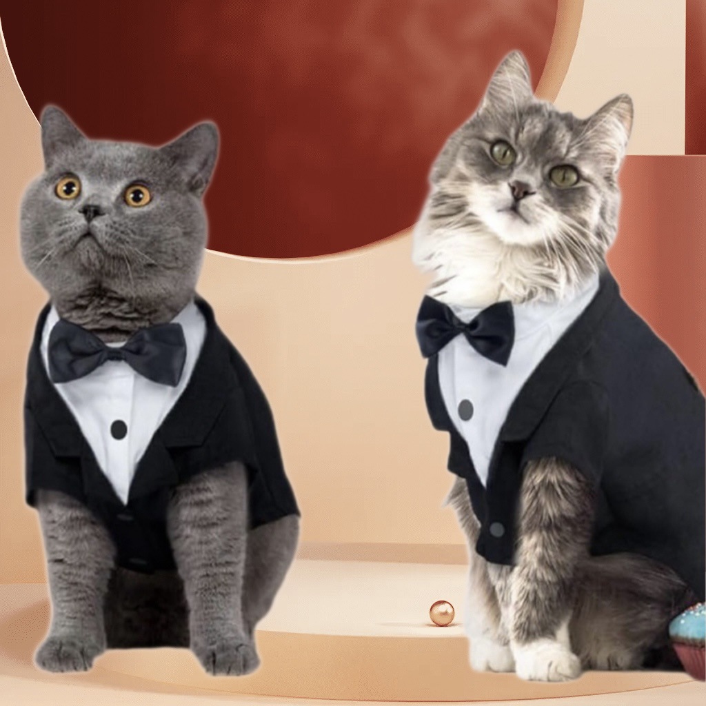 Wholesale Pet Party Outfits