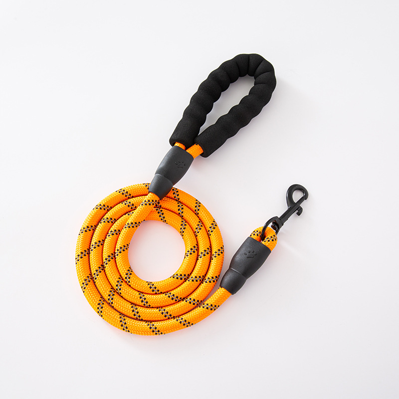 Nylon Dog Leash