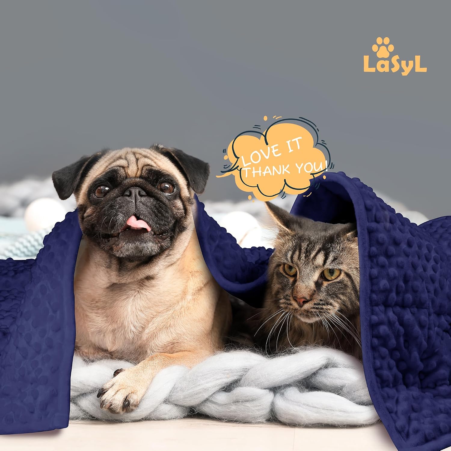 Weighted Calming Blanket for Dogs