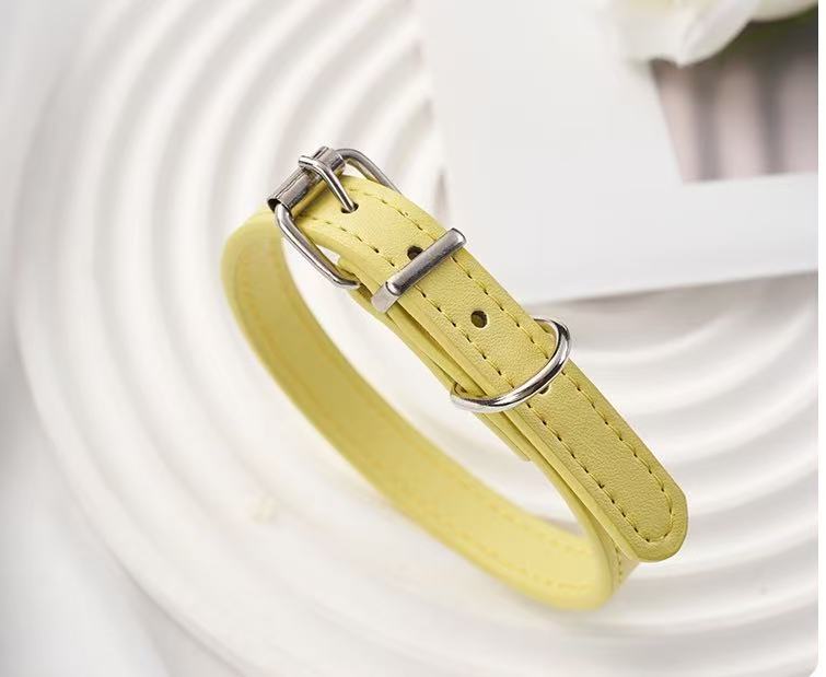 Colored Leather Collar