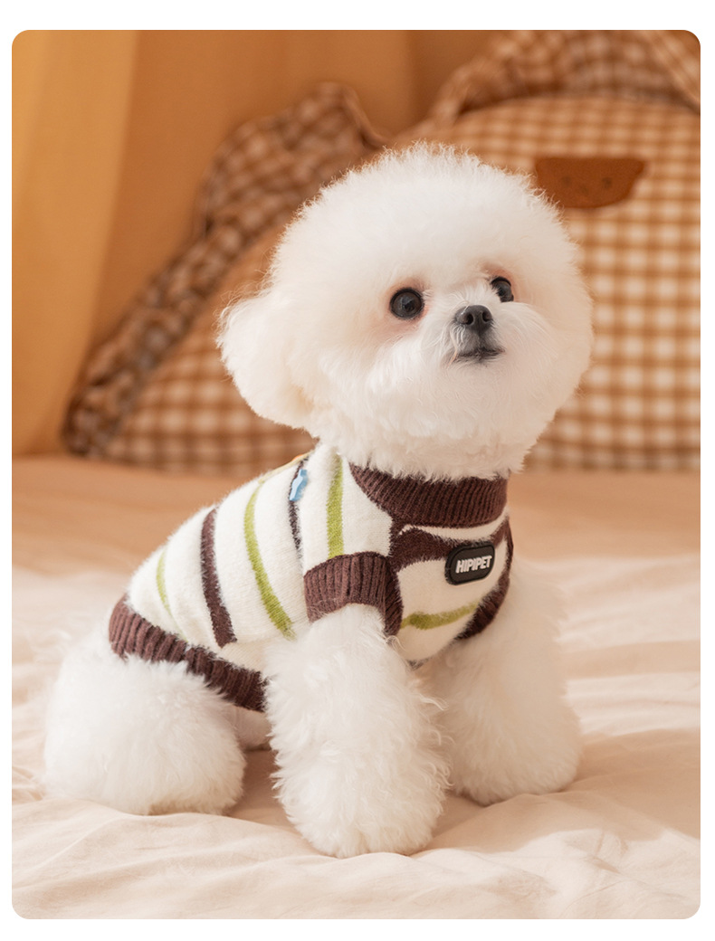 Pet Sweater