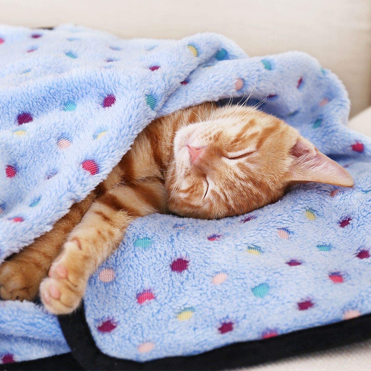 Throw Dog Blanket