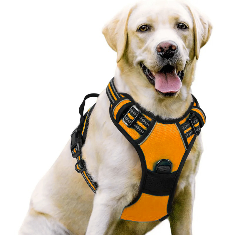 Pet Harness Set