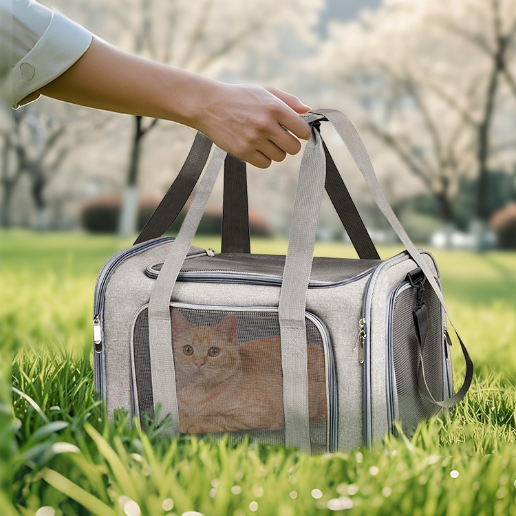 Collapsible Pet Carrier